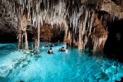 Unlocking the Wonders of Cenotes and Lagoons: Dive into a Magical Snorkeling Adventure
